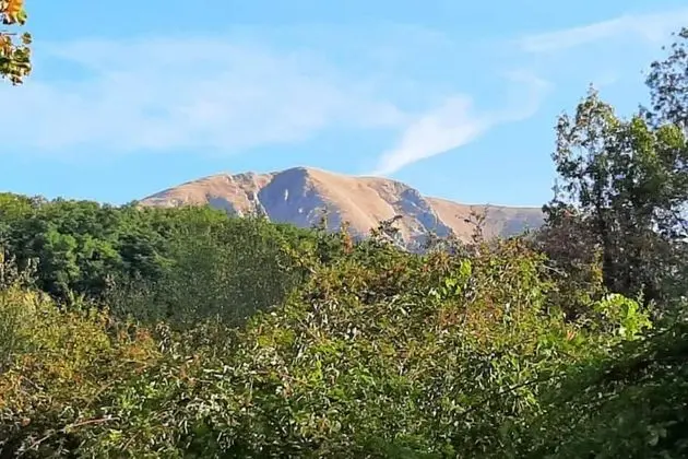 Ev, Birden Çok Yatak