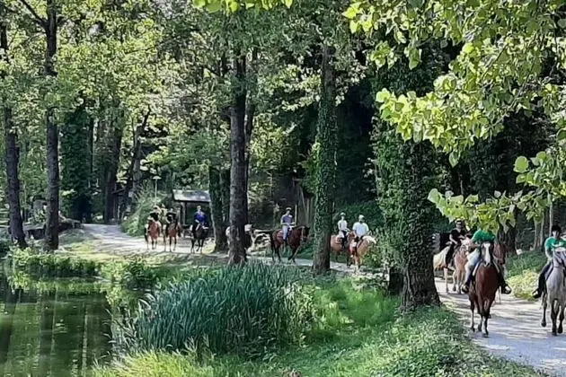 Ev, Birden Çok Yatak