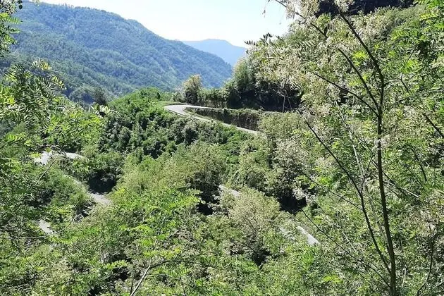 Ev, Birden Çok Yatak