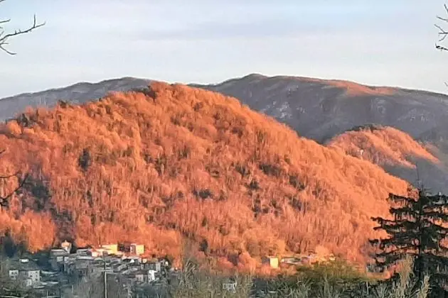 Ev, Birden Çok Yatak