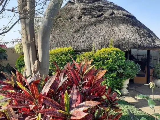 Ev, 2 Büyük (Queen) Boy Yatak