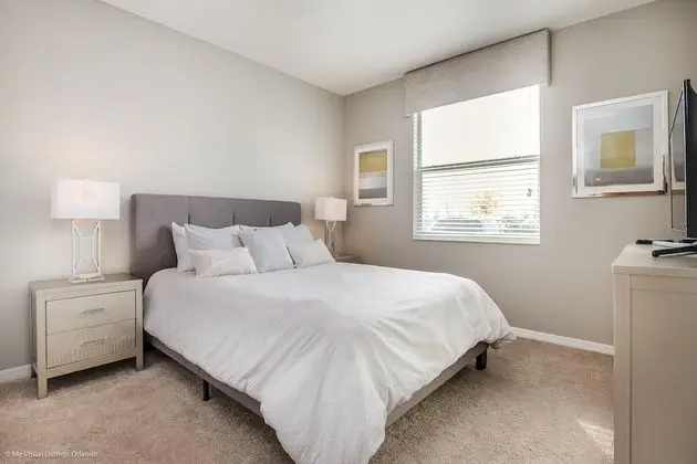 Ev (4741CT UNIT101  Amazing Story Lake Br)