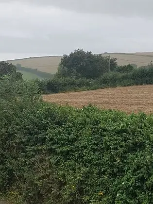 Kır Evi, Birden Çok Yatak