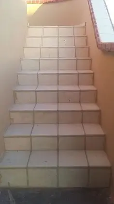 Ev