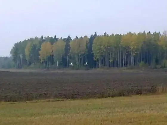 Ev, Birden Çok Yatak