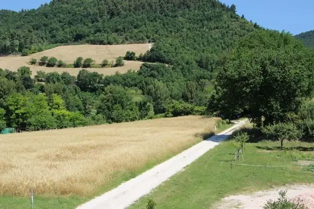 Ev, Birden Çok Yatak
