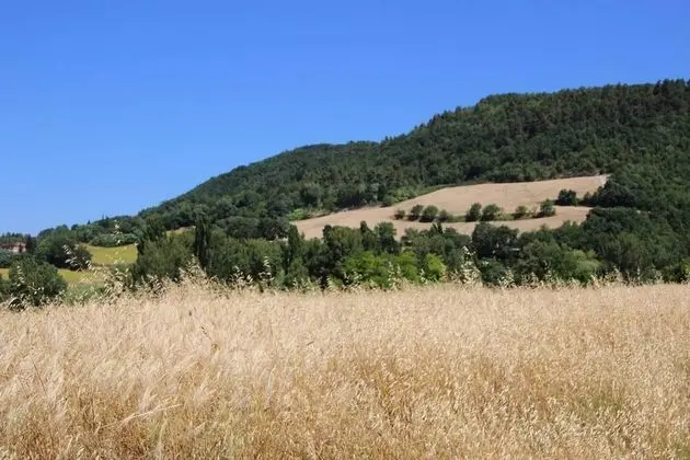 Ev, Birden Çok Yatak