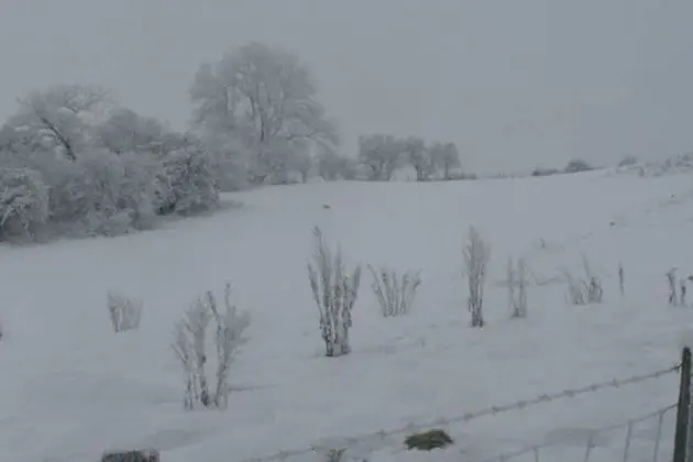 Ev, Birden Çok Yatak