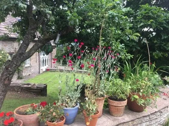 Ev, Birden Çok Yatak