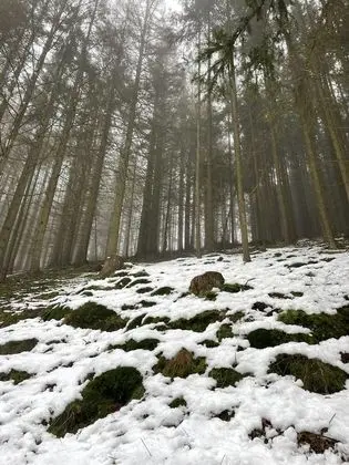 Apart Daire, Birden Çok Yatak
