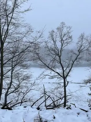 Apart Daire, Birden Çok Yatak