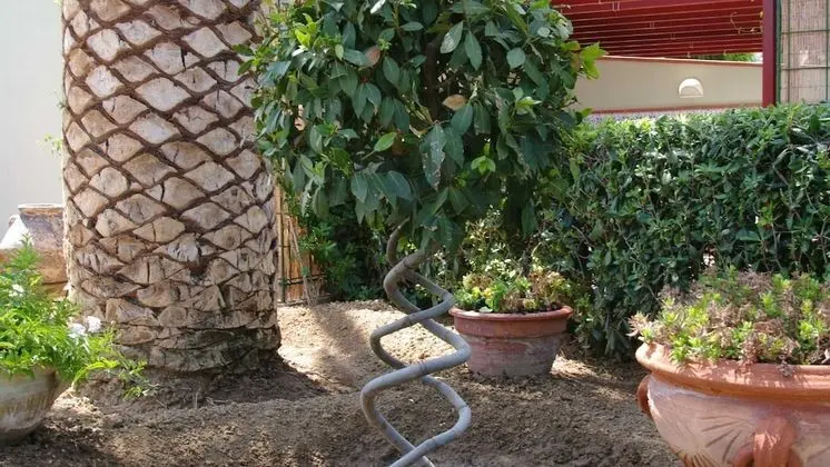 Apart Daire, 2 Yatak Odası, Veranda
