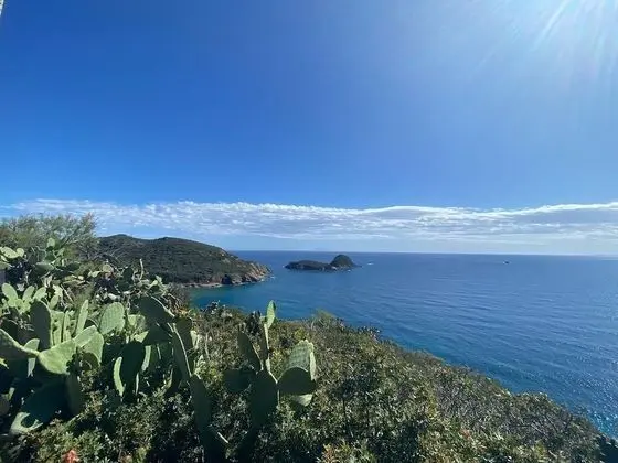 Apart Daire, 1 Yatak Odası, Engellilere Uygun, Buzdolabı