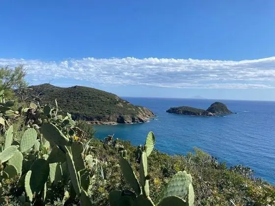 Apart Daire, 1 Yatak Odası, Engellilere Uygun, Buzdolabı