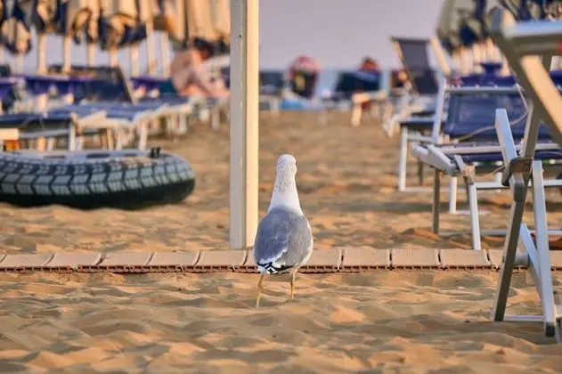 Apart Daire, 1 Yatak Odası, Balkon
