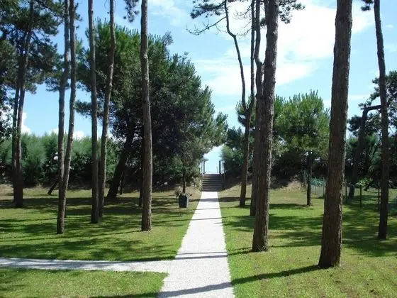 Apart Daire, 1 Yatak Odası, Balkon