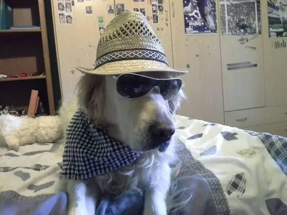 Apart Daire, 2 Büyük (Queen) Boy Yatak