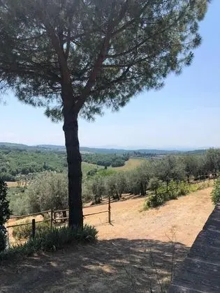 Apart Daire, 2 Büyük (Queen) Boy Yatak