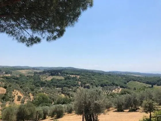 Apart Daire, 2 Büyük (Queen) Boy Yatak