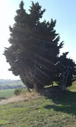 Apart Daire, 2 Büyük (Queen) Boy Yatak