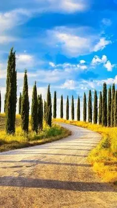 Apart Daire, 2 Büyük (Queen) Boy Yatak