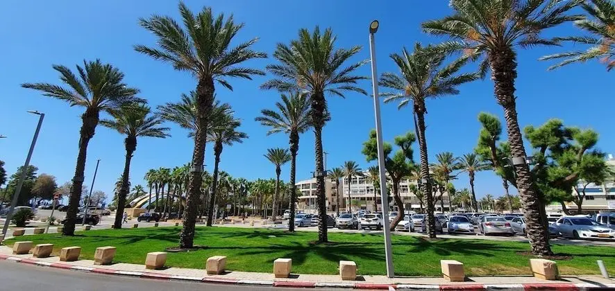 Executive Apart Daire