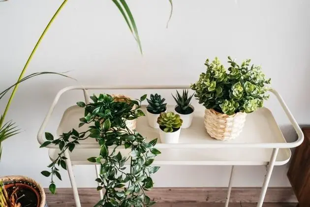 Apart Daire, Engellilere Uygun