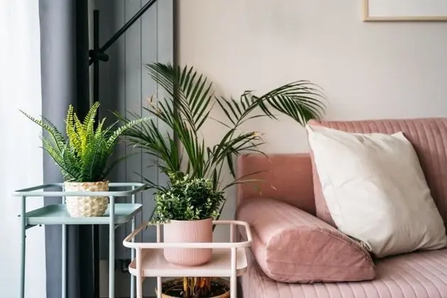 Apart Daire, Engellilere Uygun