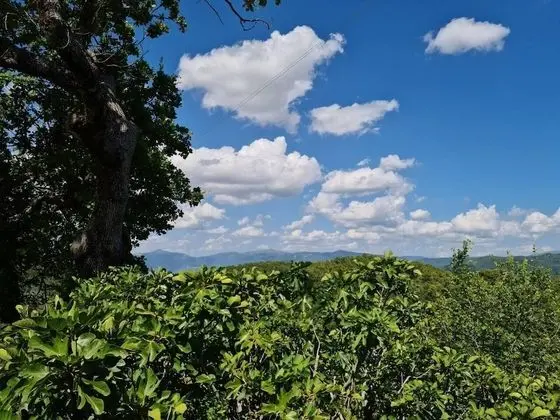 Apart Daire, Birden Çok Yatak