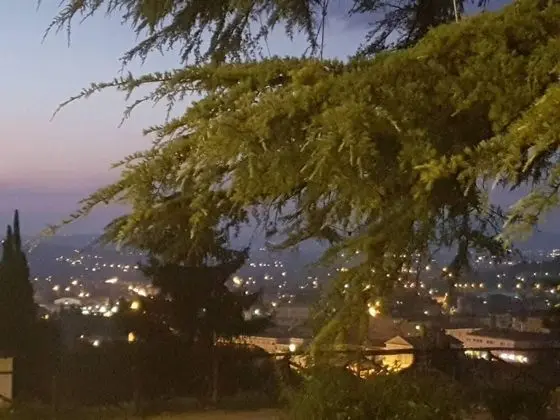 Apart Daire, Birden Çok Yatak