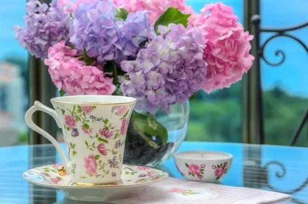 Apart Daire, 1 Yatak Odası (Provence)