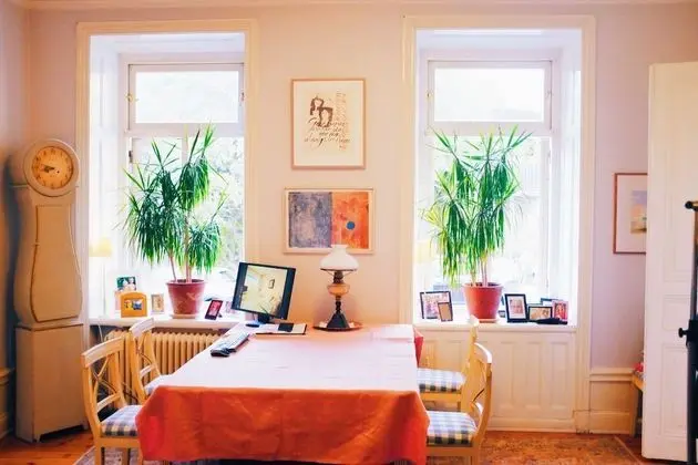 Apart Daire, 1 Yatak Odası