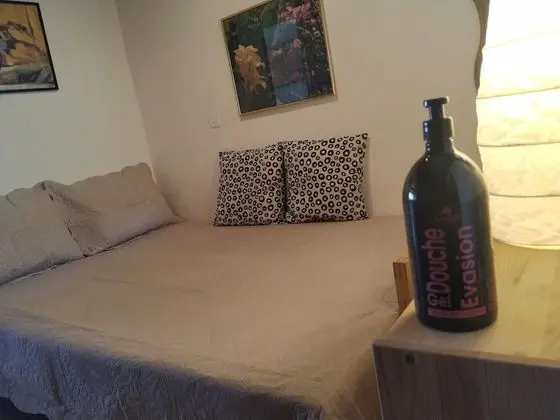 Ev