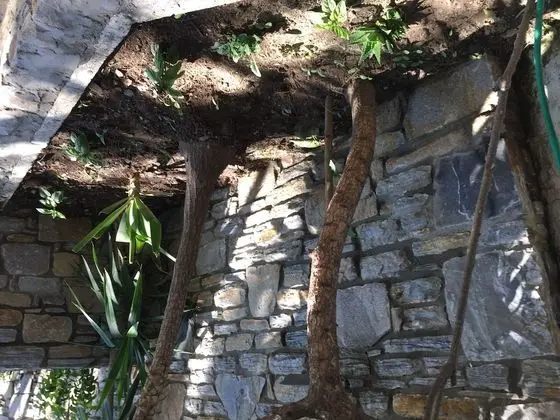 Oda, 1 Yatak Odası, Sigara İçilebilir, Balkon