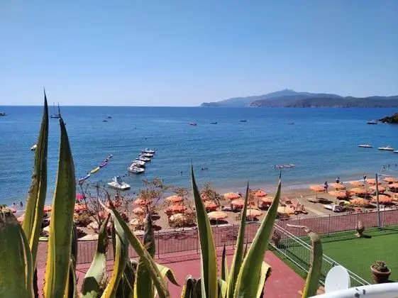 Apart Daire, 1 Yatak Odası, Engellilere Uygun, Veranda