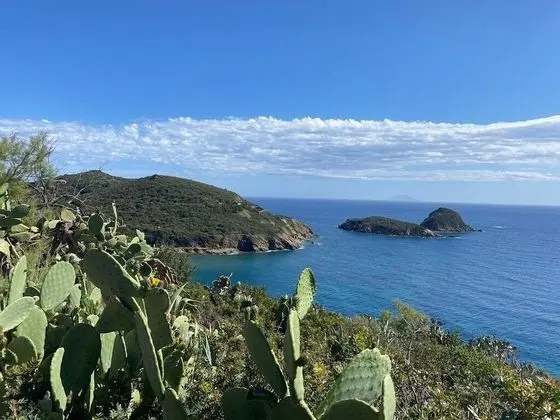 Apart Daire, 1 Yatak Odası, Engellilere Uygun, Veranda