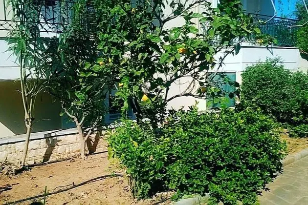Villa, Birden Çok Yatak
