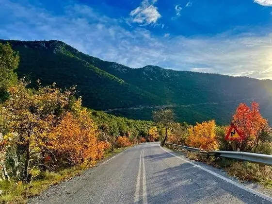 Villa, Birden Çok Yatak