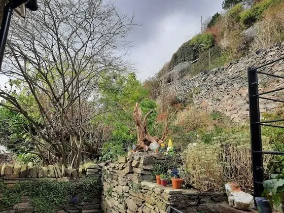 Ev, Birden Çok Yatak
