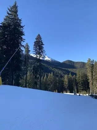 Apart Daire, 1 Büyük (Queen) Boy Yatak