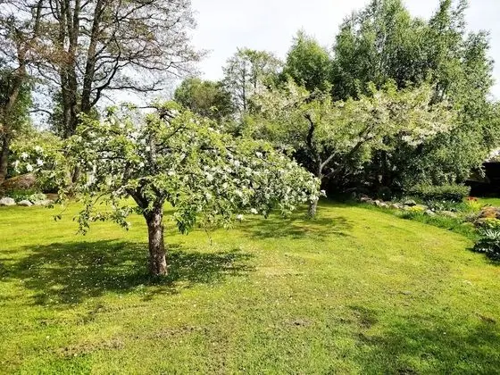 Kır Evi, Birden Çok Yatak
