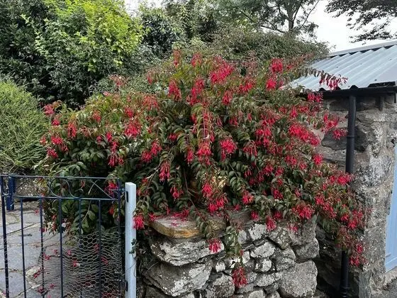 Kır Evi, Birden Çok Yatak