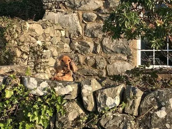 Kır Evi, Birden Çok Yatak