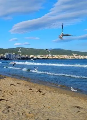 Apart Daire, Birden Çok Yatak