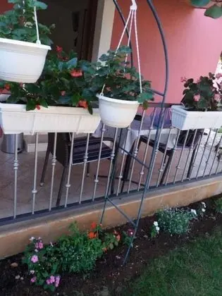 Apart Daire, 1 Yatak Odası, Mikrodalga