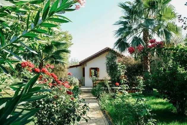 Bungalov
