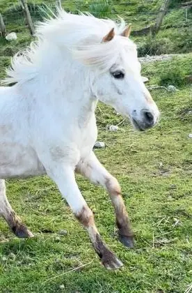 Apart Daire, Birden Çok Yatak