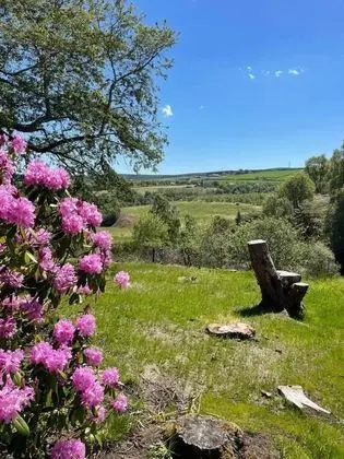 Apart Daire, Birden Çok Yatak