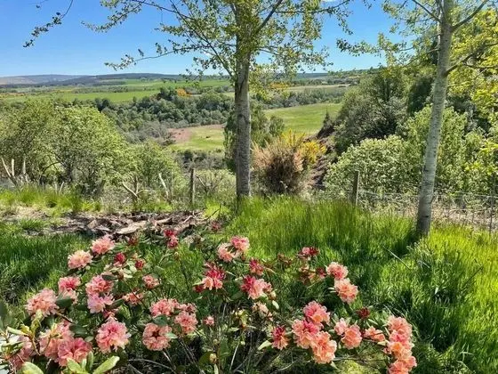 Apart Daire, Birden Çok Yatak