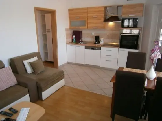 Apart Daire, 1 Yatak Odası (N1)